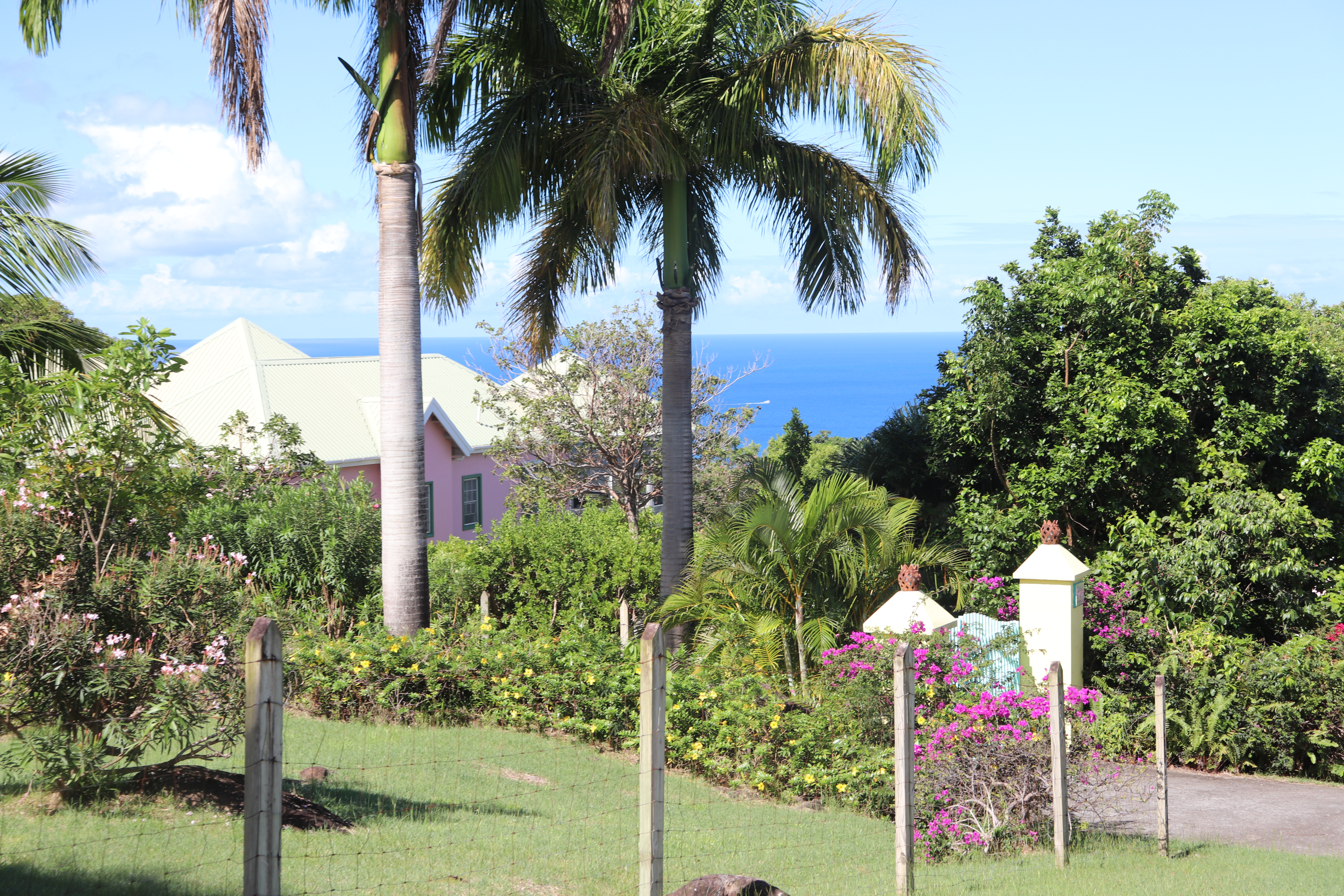 NEVIS_HOME_VIEW